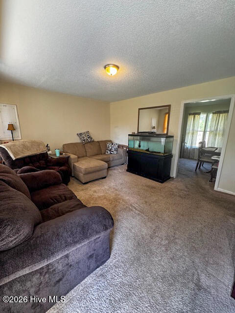 208 Holloman Road Ahoskie, NC 27910 - Photo 2 of 14 image1