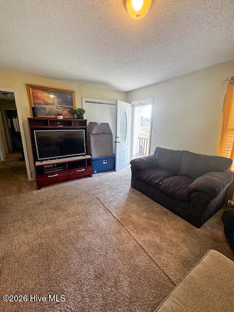 208 Holloman Road Ahoskie, NC 27910 - Photo 3 of 14 image2