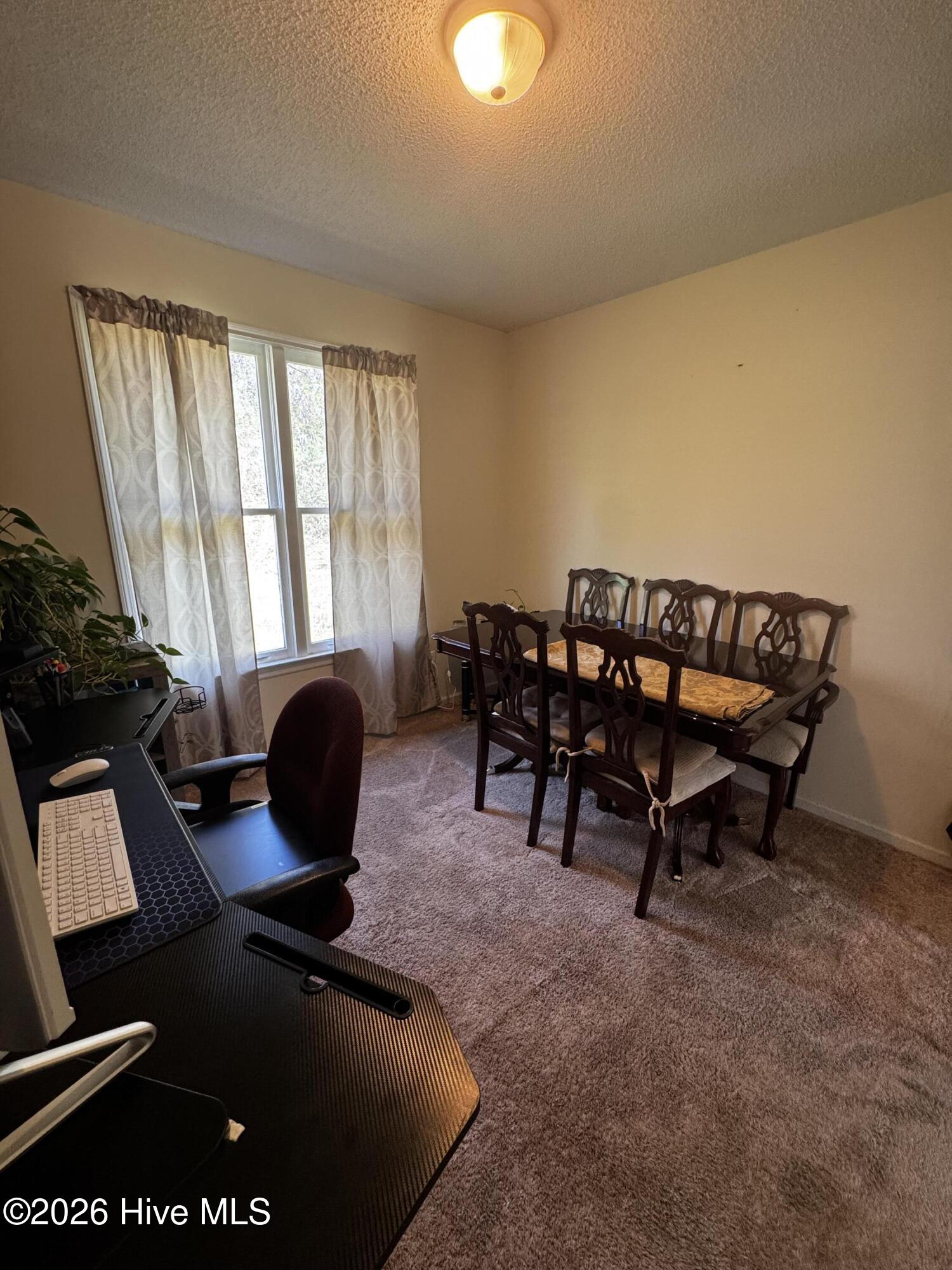 208 Holloman Road Ahoskie, NC 27910 - Photo 5 of 14 IMG_9336