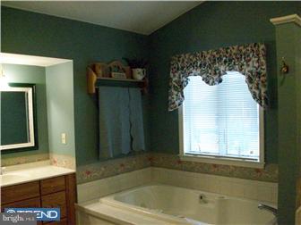 3035 Walton Road Jamison, PA 18929 - Photo 9 of 12 Bathroom