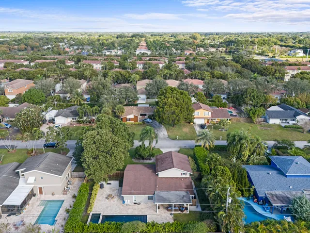 a view of a yard with plants and large trees