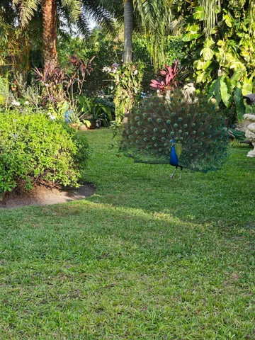 $1,125,000 | 4610 Pine Tree Drive, Delray Beach, FL 33445