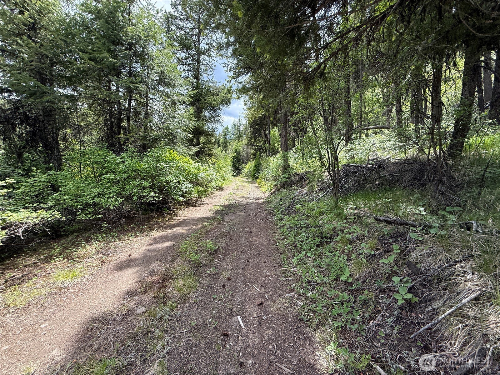 131 Slippery Hill Road Republic, WA 99166 - Photo 5 of 7 a big yard with lots of green space and deers