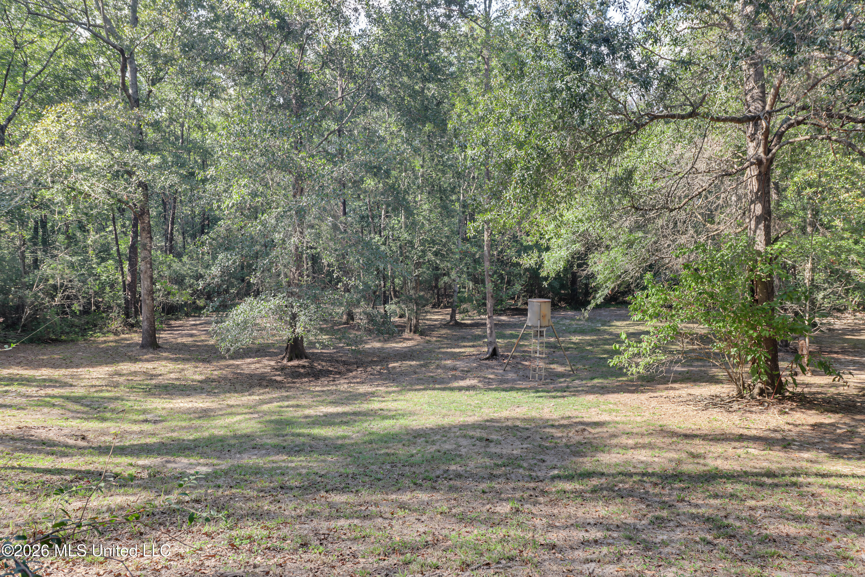 41 Ollie Reeves Road Perkinston, MS 39573 - Photo 3 of 14 IMG_8950