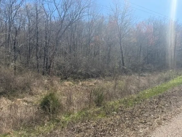 $150,000 | 10 Highway 22 Alternate, Jacks Creek, TN 38347