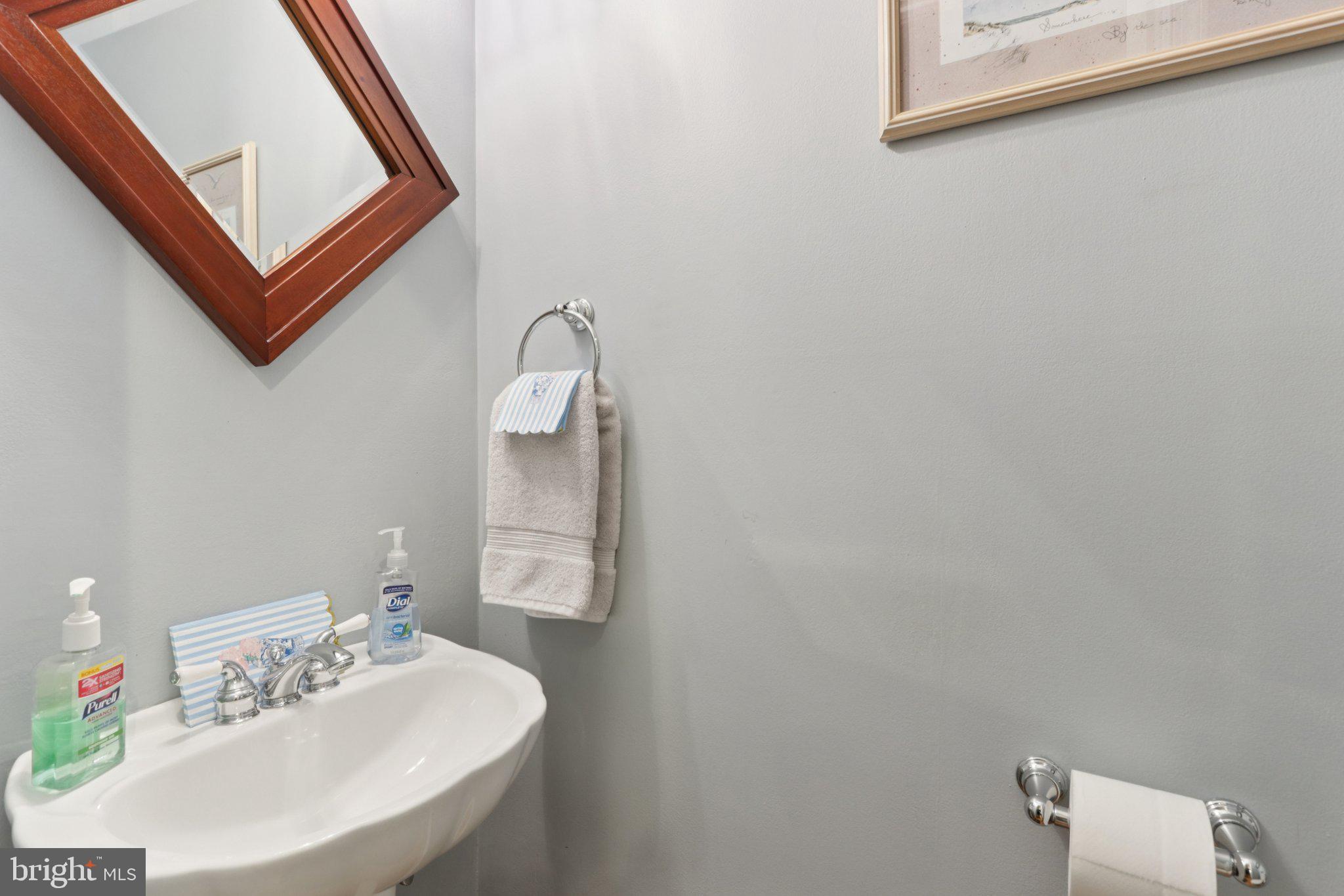 294 Batleson Road Ambler, PA 19002 - Photo 19 of 50 a bathroom with a sink mirror and vanity
