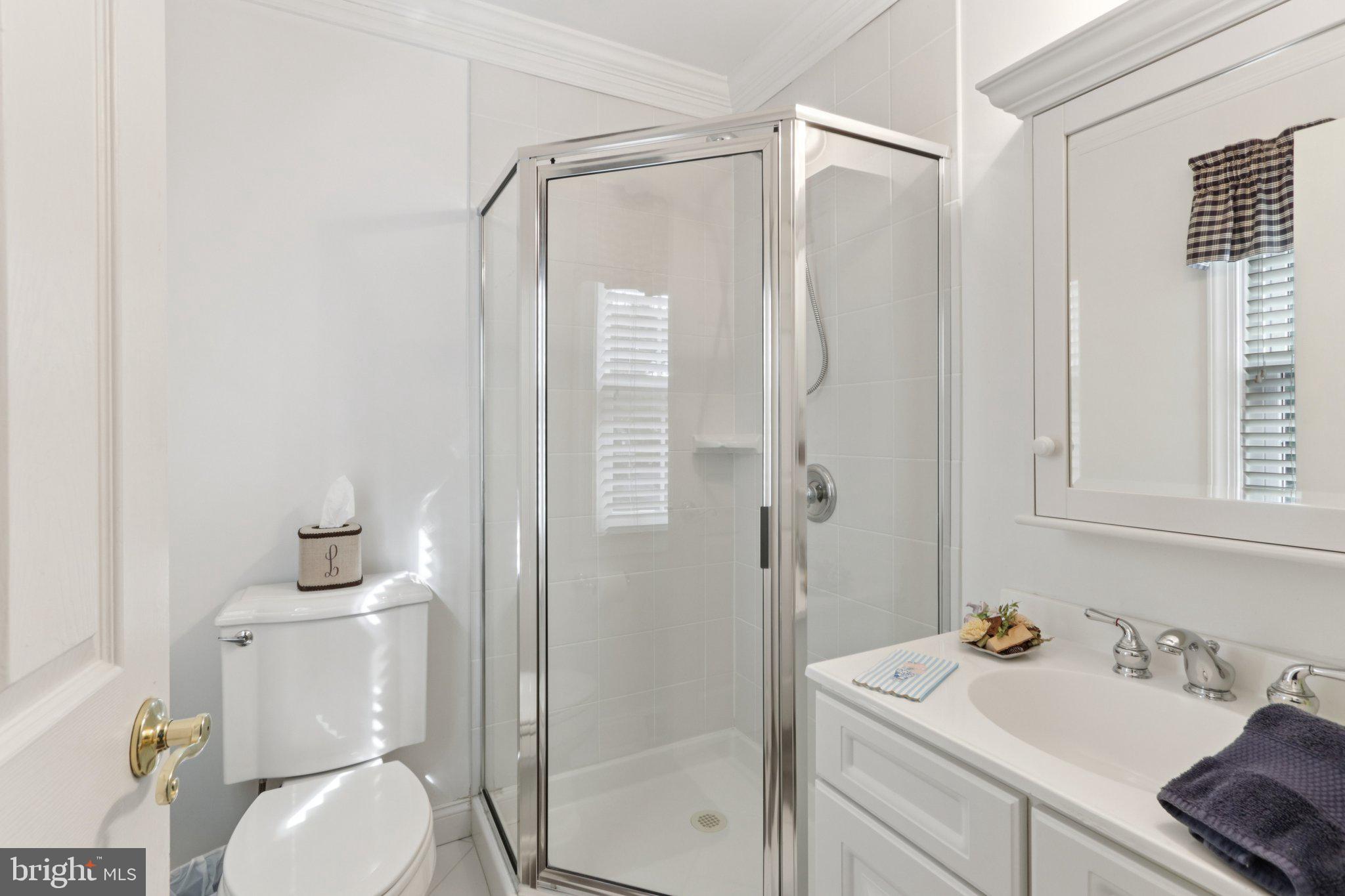 294 Batleson Road Ambler, PA 19002 - Photo 30 of 50 a bathroom with a sink toilet and shower