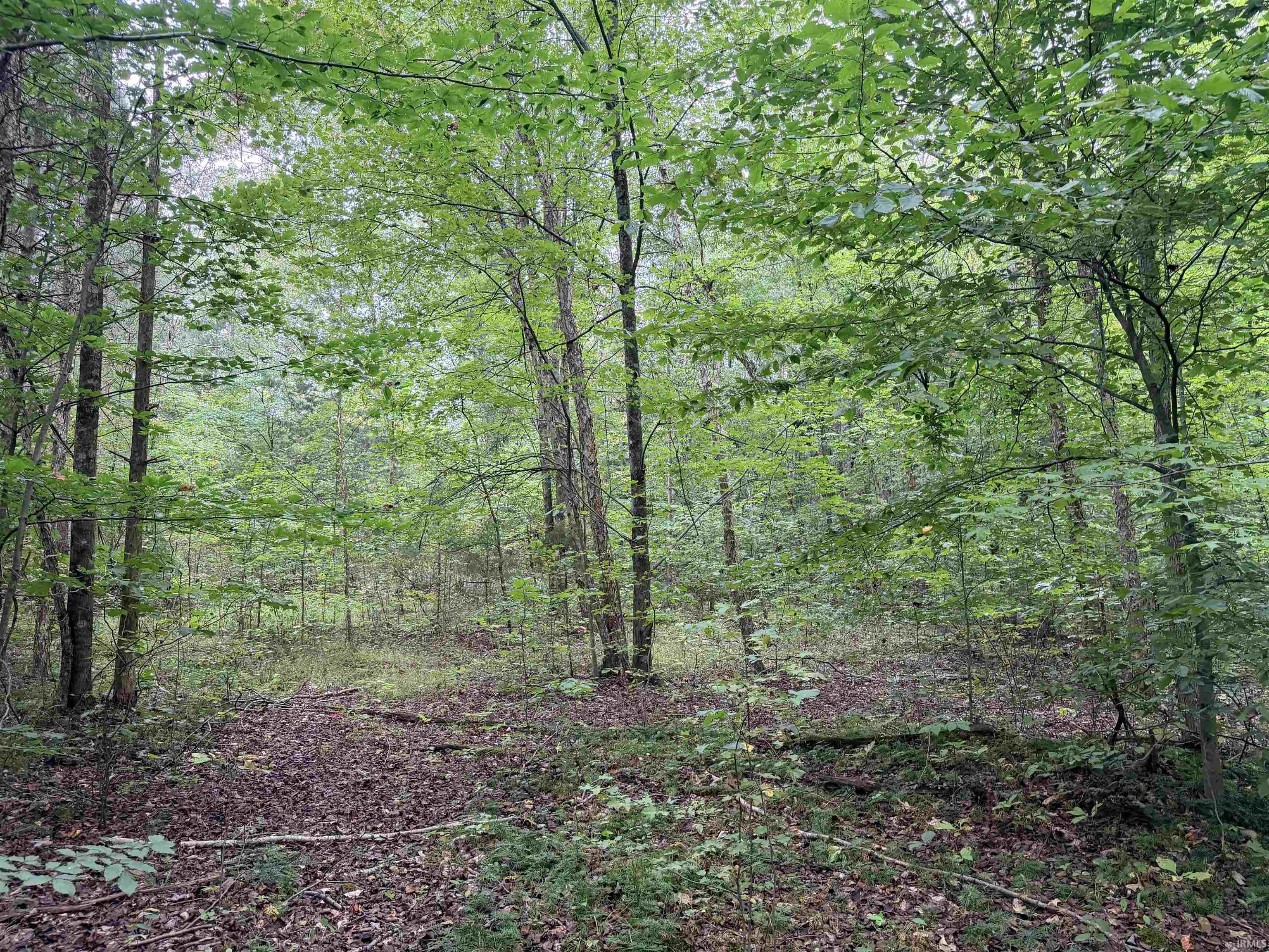 0 Steubenville Road Freedom, IN 47431 - Photo 14 of 16 Gallery Image 14