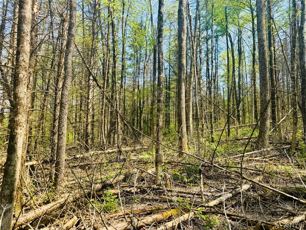 Dog Hollow Road Truxton, NY 13158 - Photo 6 of 9