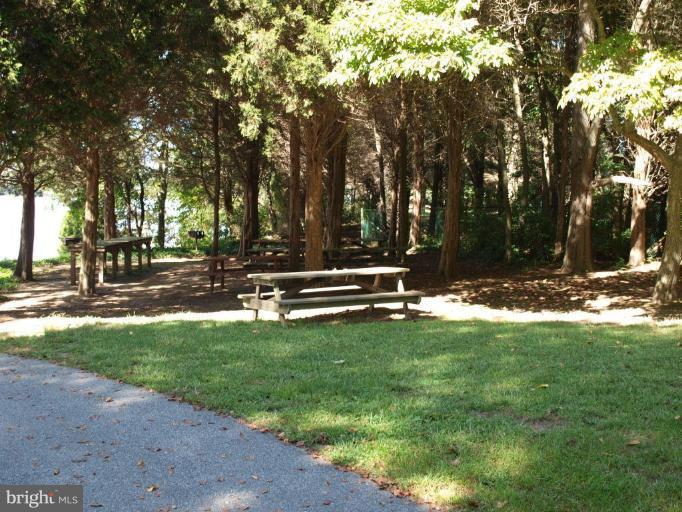 1425 Town Point Road Chesapeake City, MD 21915 - Photo 16 of 18 Picnic Area - Creswell Forest - 1425 Town Point Rd