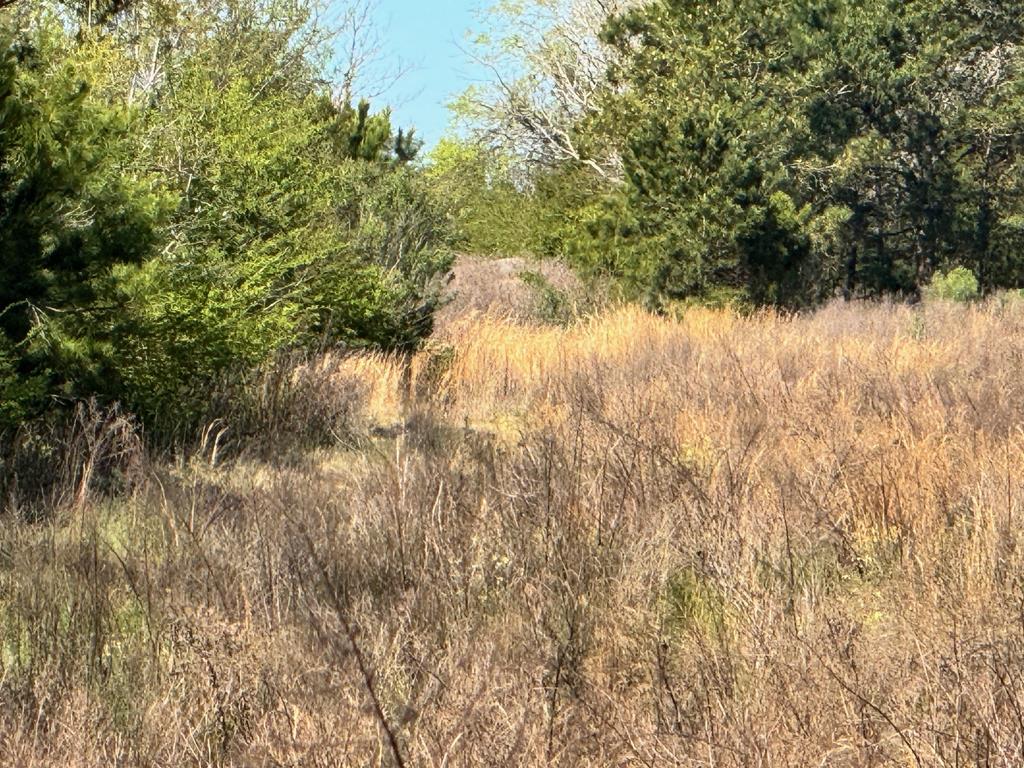 0 Macedonia Ch Road Columbia, AL 36319 - Photo 32 of 61