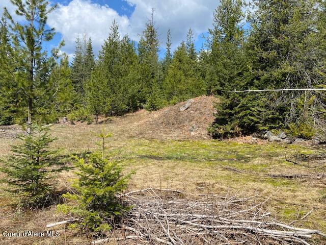 Nna Upper Gold Creek Road Sandpoint, ID 83864 - Photo 12 of 25 15