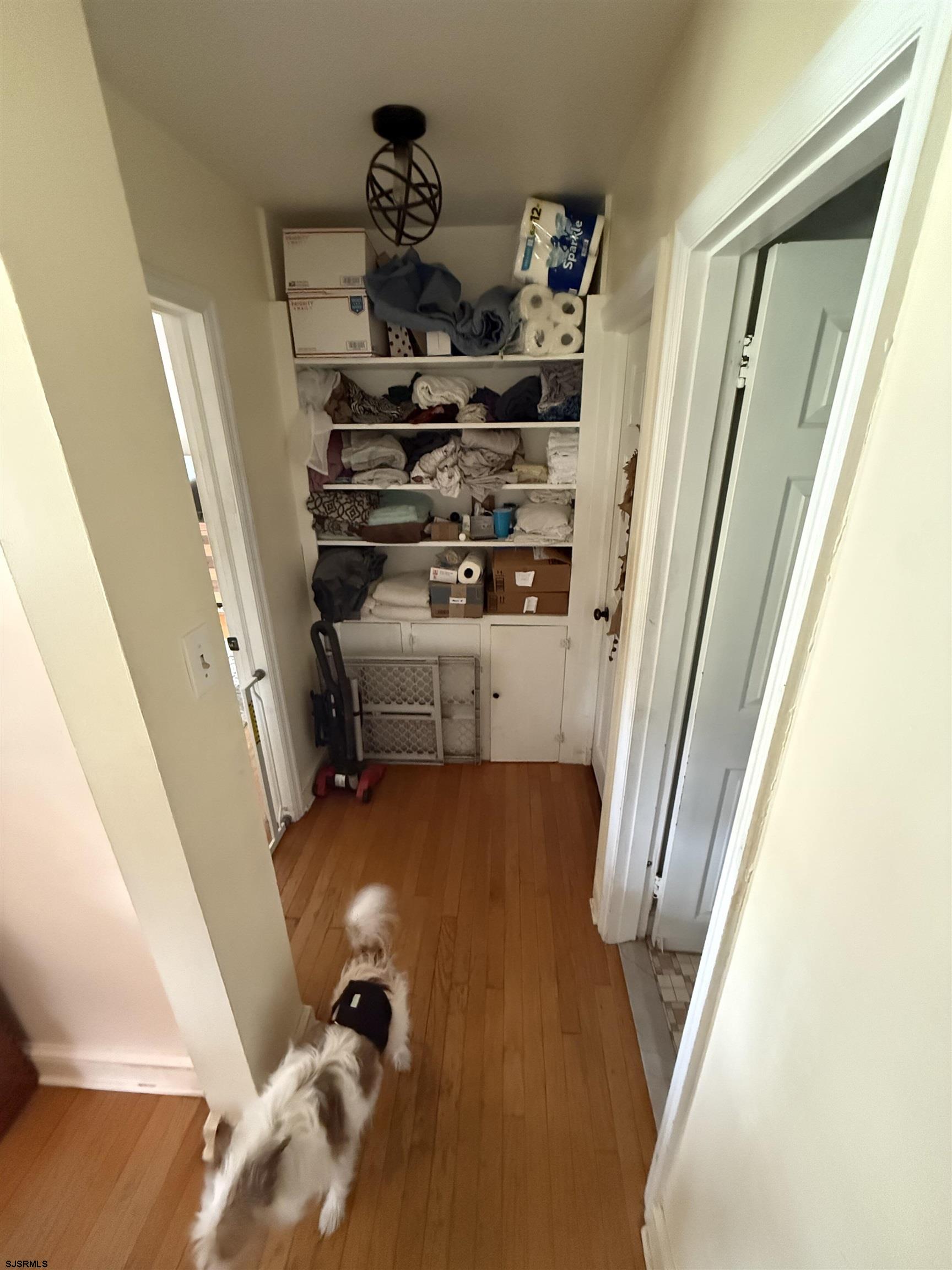 34 Back Neck Road Bridgeton, NJ 08302 - Photo 15 of 38 a view of walk in closet with clothes and shoes