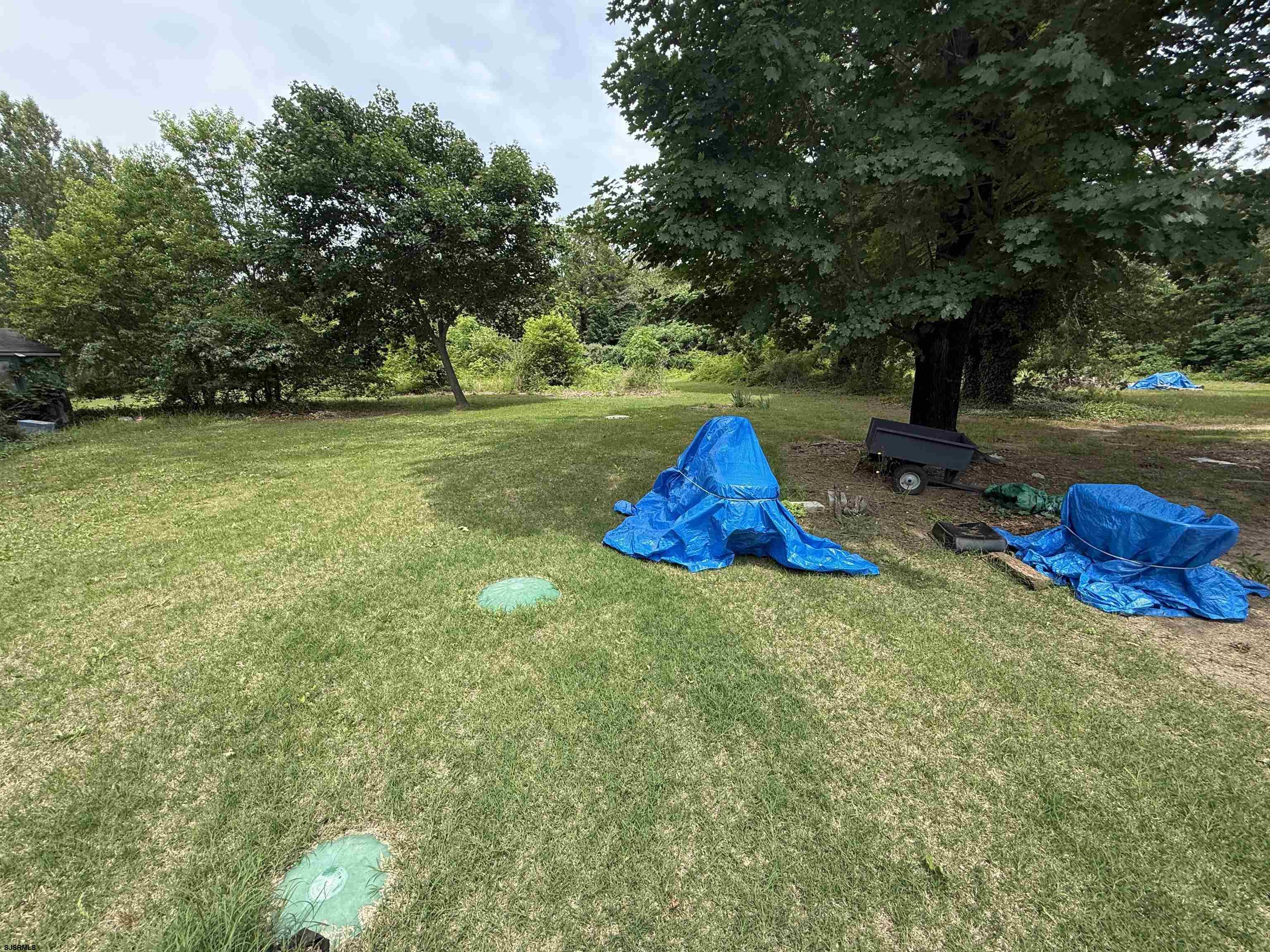 34 Back Neck Road Bridgeton, NJ 08302 - Photo 35 of 38 a fire hydrant sitting in the middle of a field