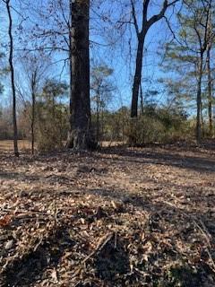 0 Bellevue Road, Unit LOT 2 Haughton, LA 71037 - Photo 3 of 6 Towards the wooded acreage
