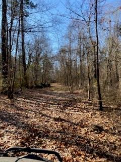 0 Bellevue Road, Unit LOT 2 Haughton, LA 71037 - Photo 4 of 6 Wooded area very little under brush