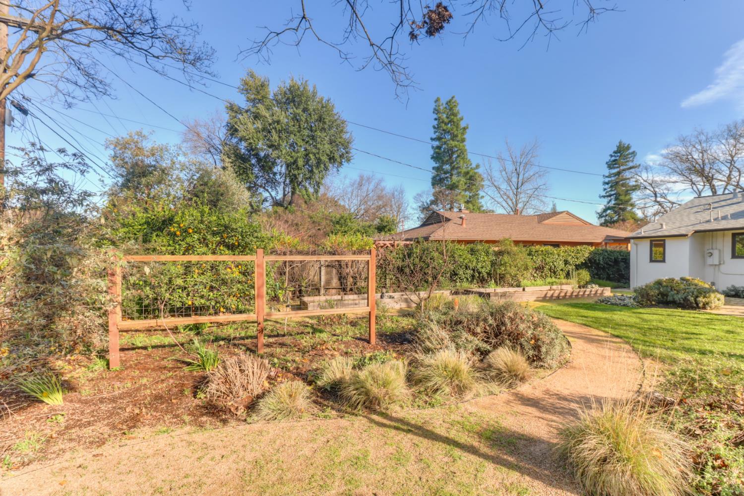 709 A Street Davis, CA 95616 - Photo 55 of 74 a view of a house with a yard