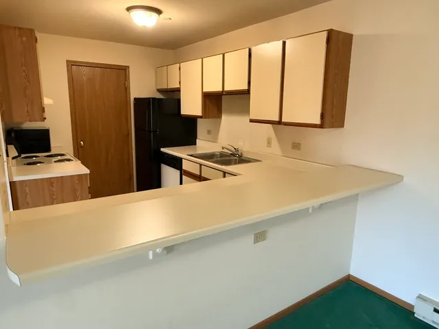 a room with a sink a stove and a refrigerator