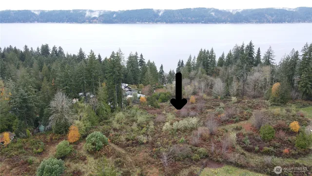 a view of a lake from a yard