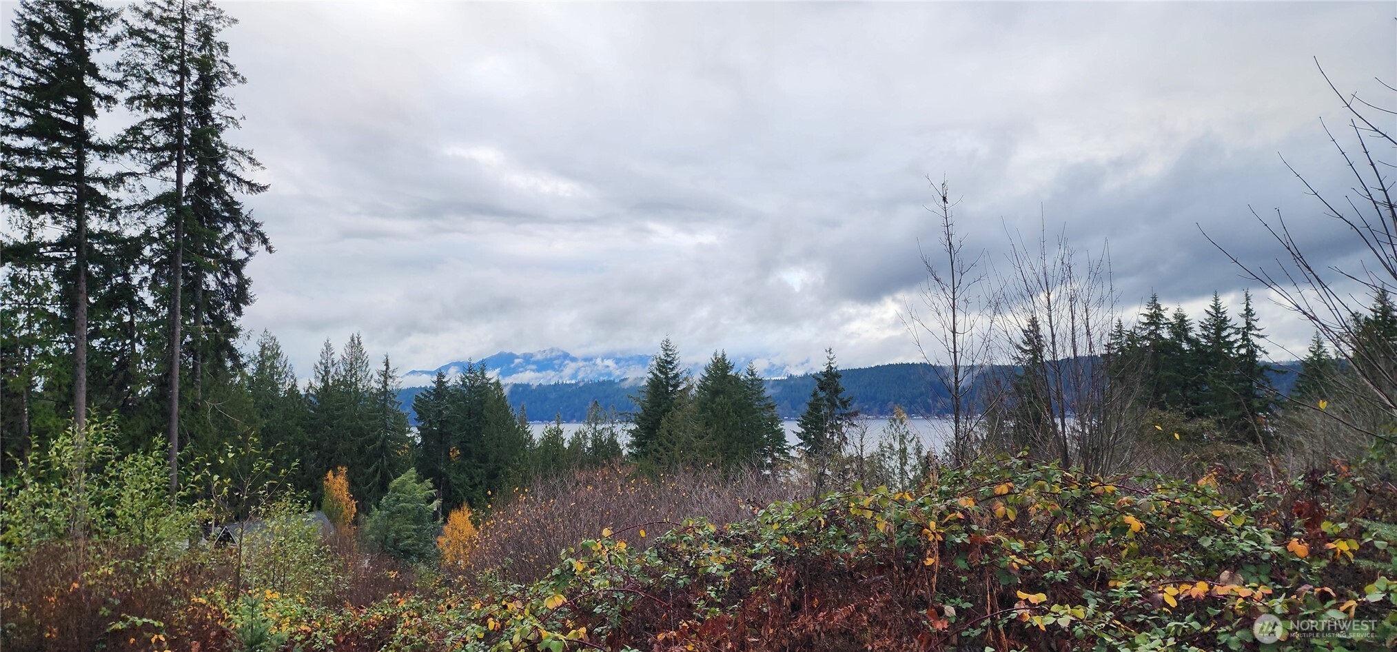 0 East Twanoh Heights Road North Belfair, WA 98528 - Photo 15 of 29 a view of a garden