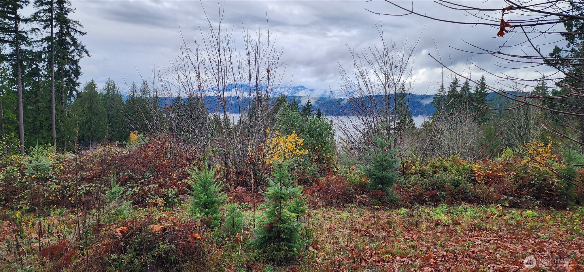 0 East Twanoh Heights Road North Belfair, WA 98528 - Photo 16 of 29 a view of a garden