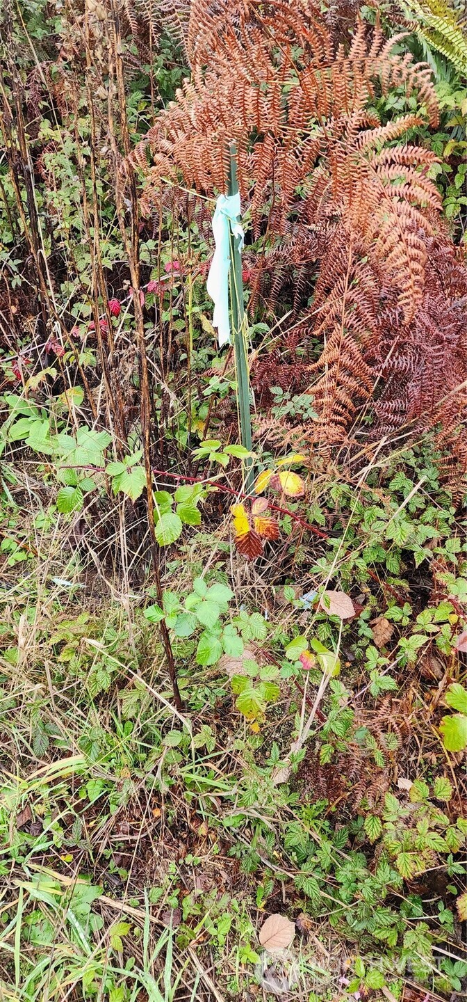 0 East Twanoh Heights Road North Belfair, WA 98528 - Photo 18 of 29