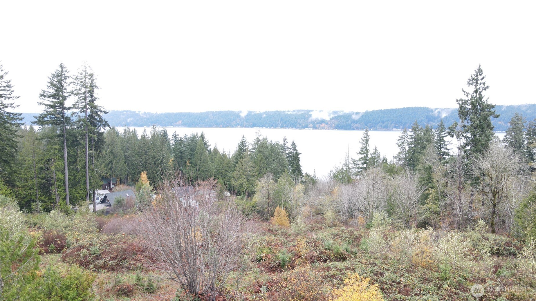 0 East Twanoh Heights Road North Belfair, WA 98528 - Photo 20 of 29 a view of a forest with a tree