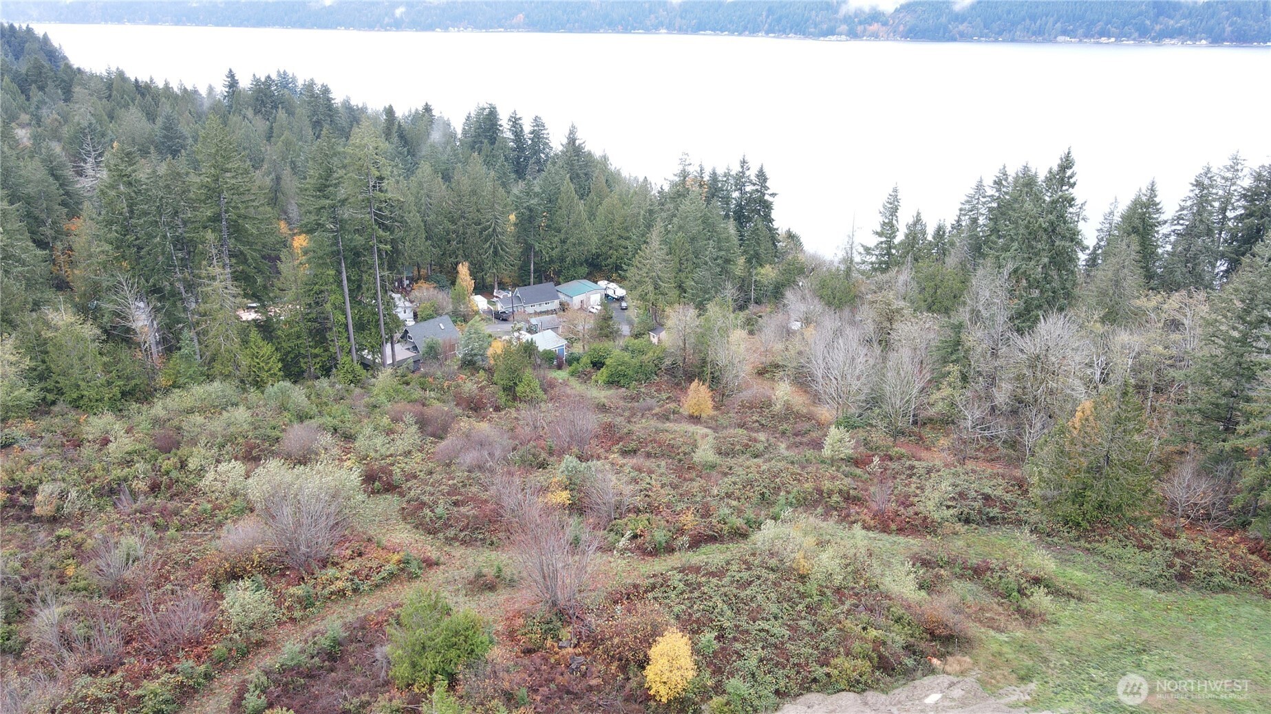 0 East Twanoh Heights Road North Belfair, WA 98528 - Photo 21 of 29 a view of a forest with trees in the background
