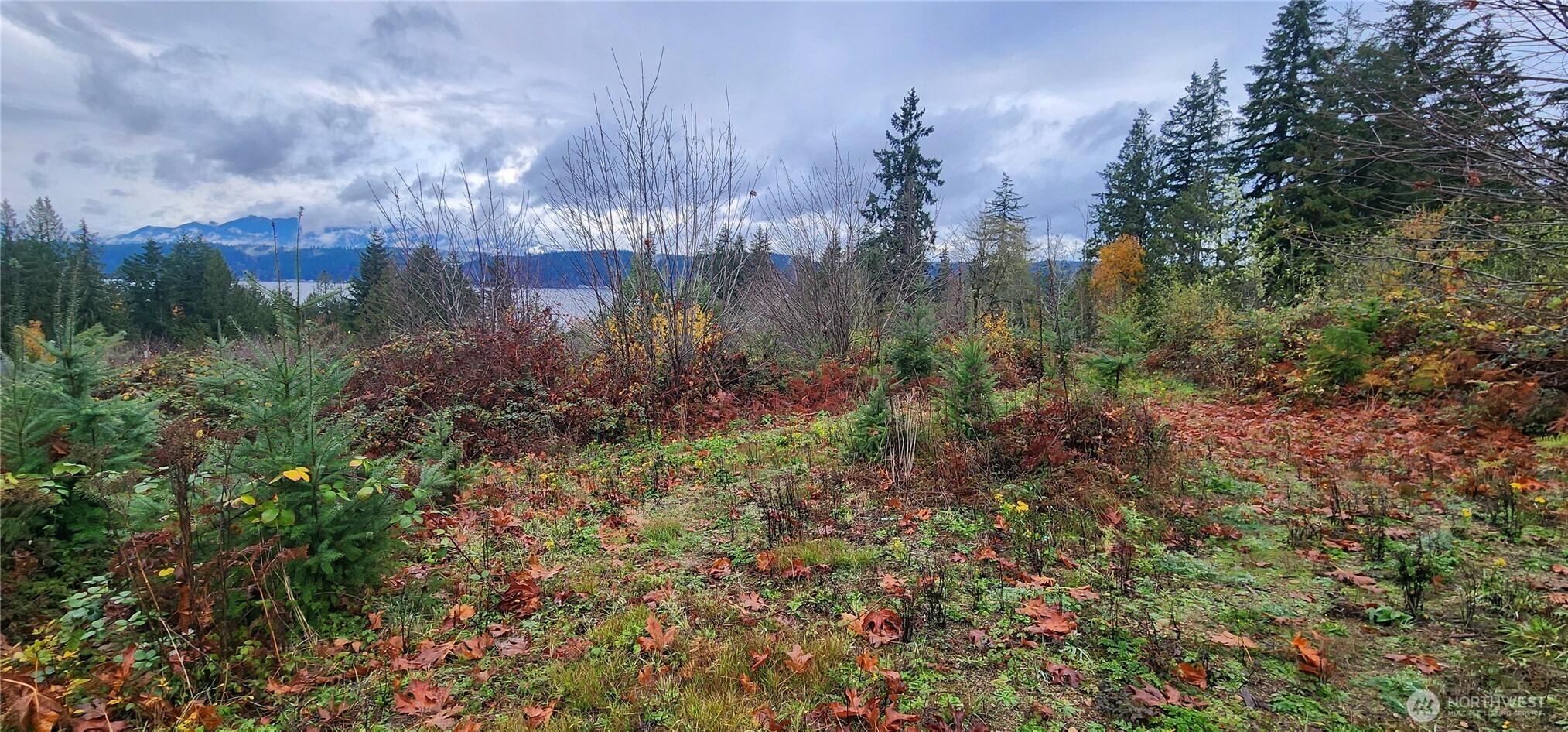 0 East Twanoh Heights Road North Belfair, WA 98528 - Photo 4 of 29 a view of a lake with large trees