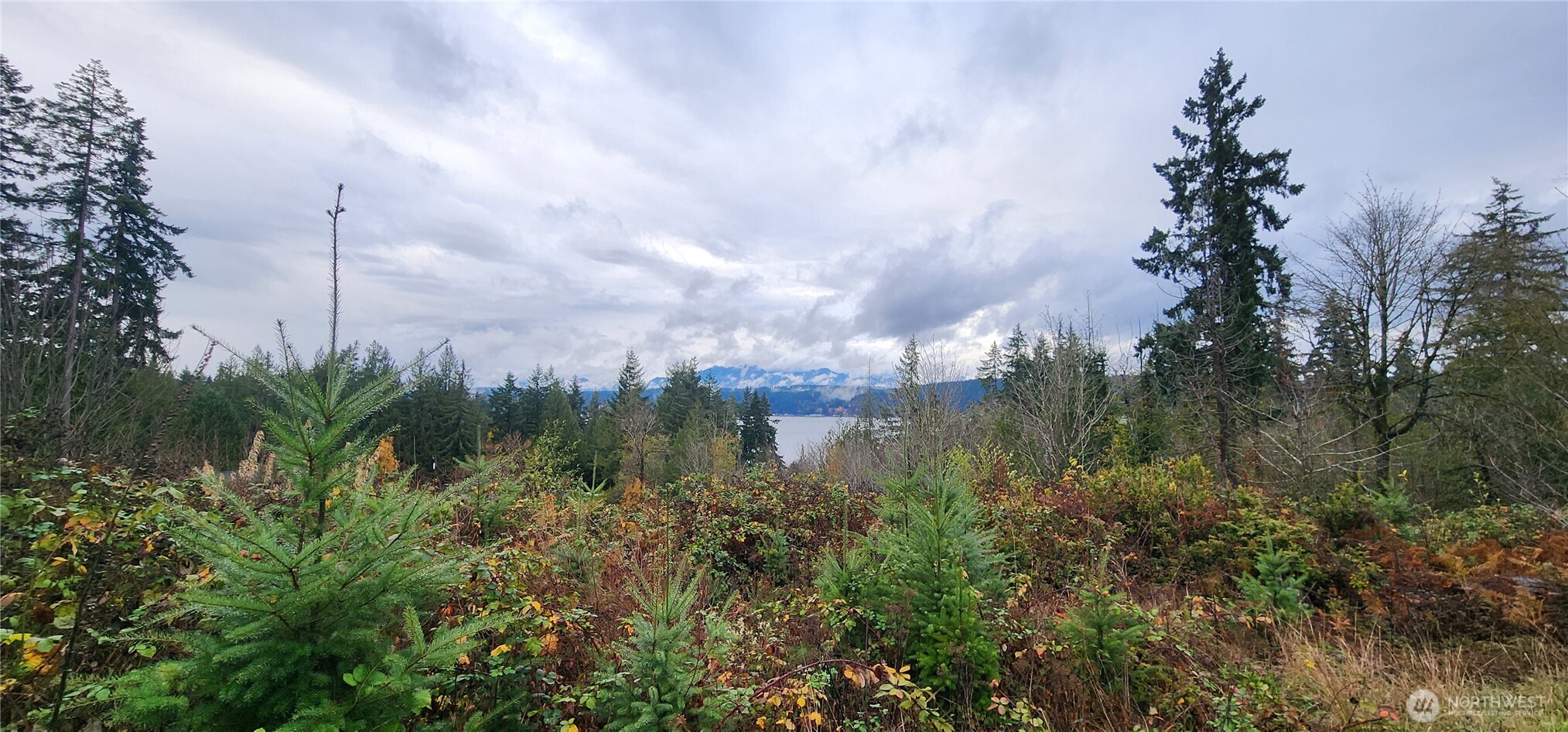 0 East Twanoh Heights Road North Belfair, WA 98528 - Photo 9 of 29 a view of a lake