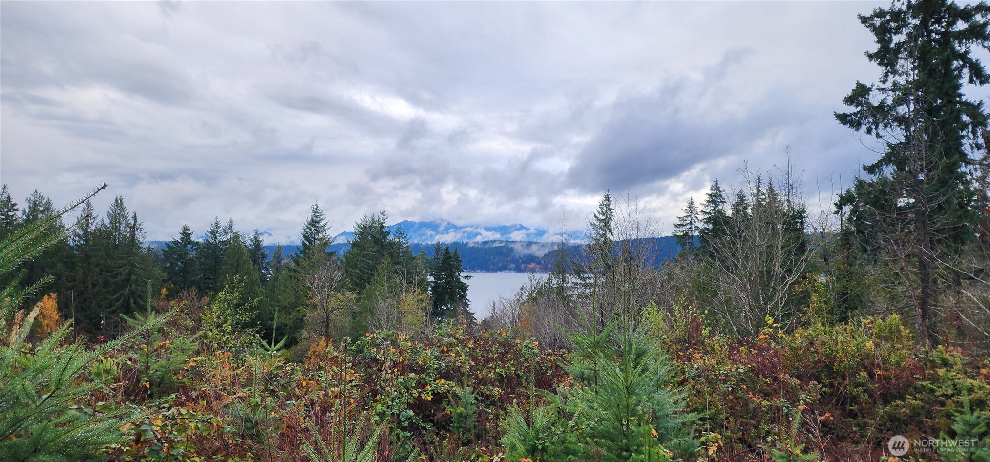 0 East Twanoh Heights Road North Belfair, WA 98528 - Photo 10 of 29 a view of a lake in middle of forest