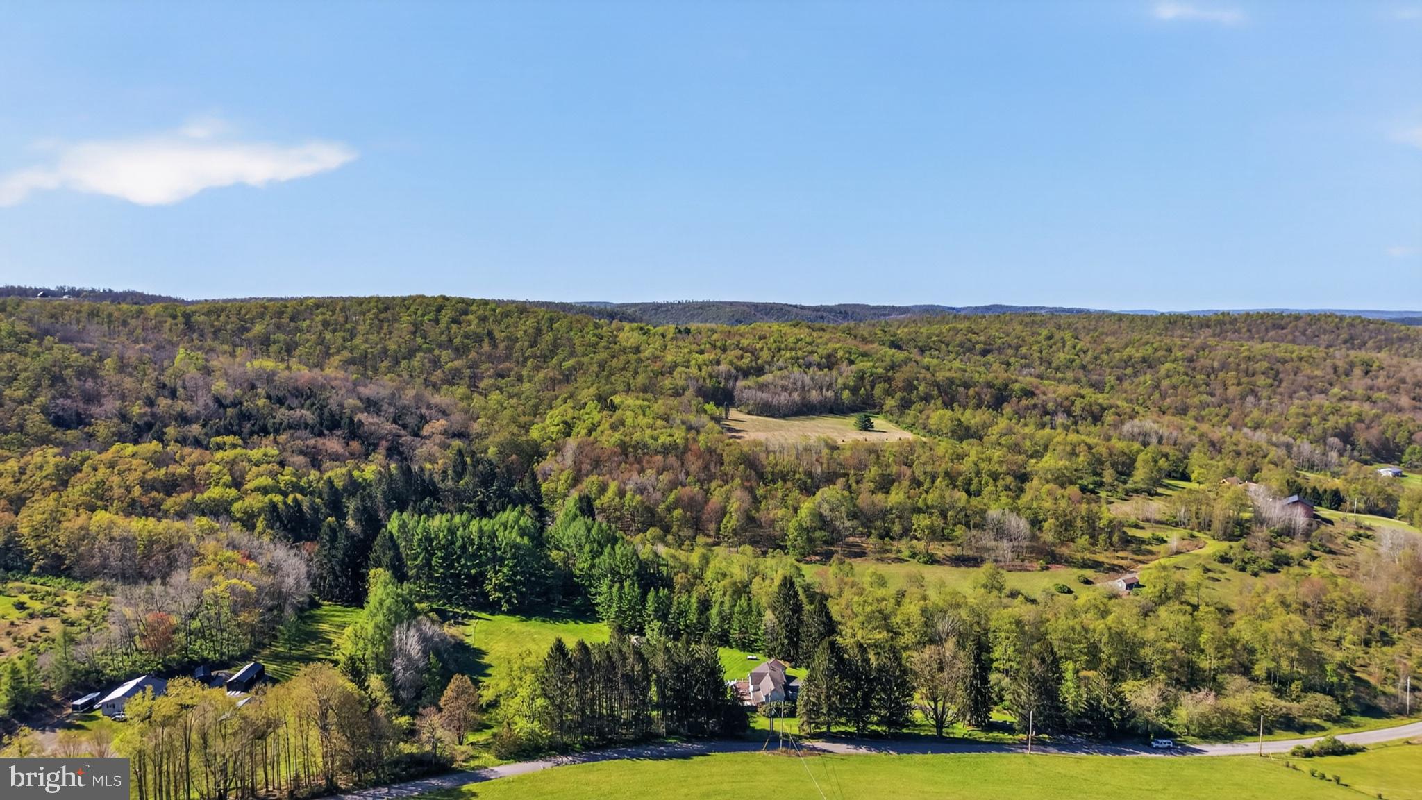 259 A A-Frame Road Coudersport, PA 16915 - Photo 75 of 130 Serene countryside retreat awaits.