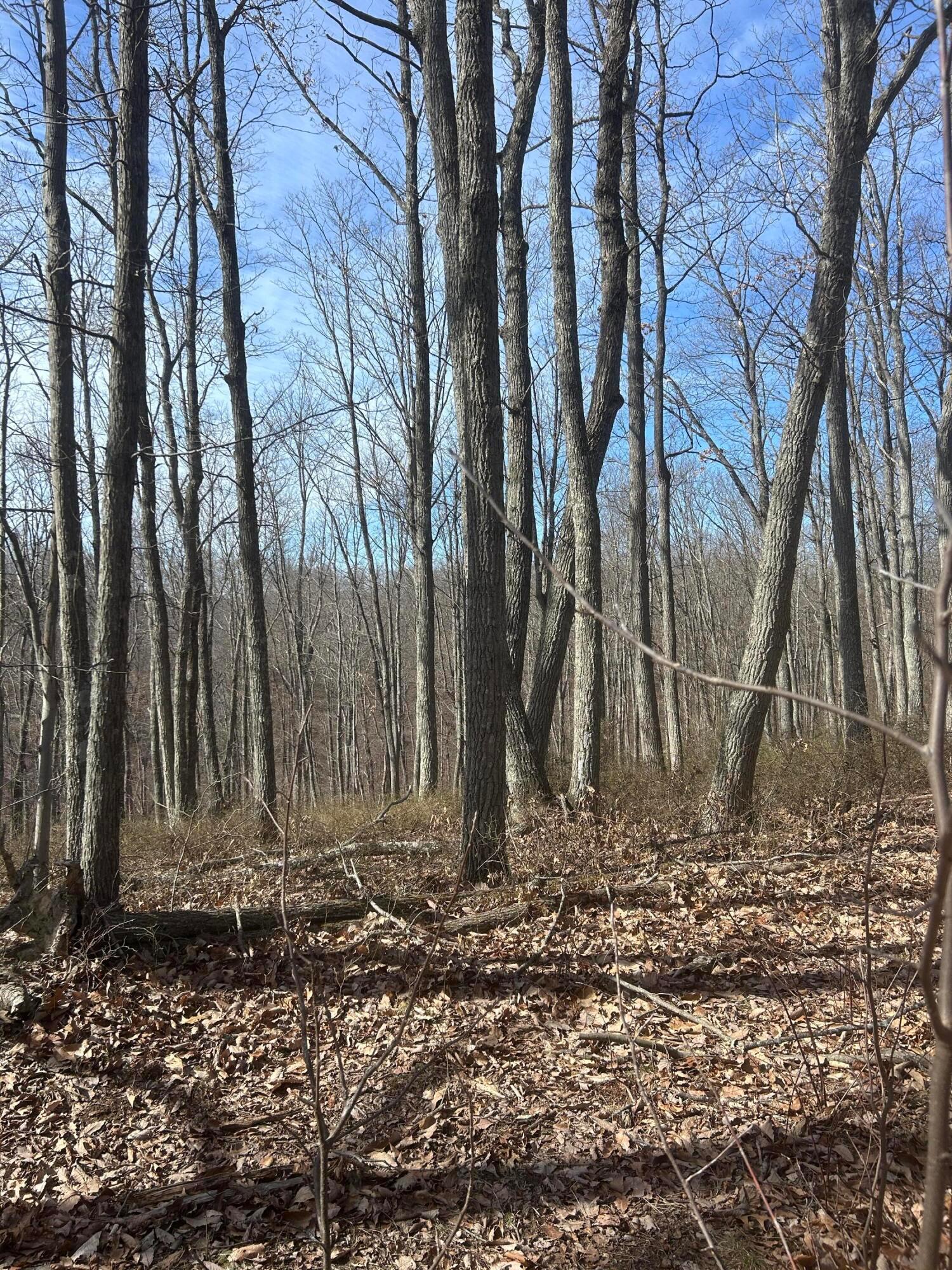 1020 Hunting Run Road, Unit C70 Lucasville, OH 45648 - Photo 20 of 48 p 20