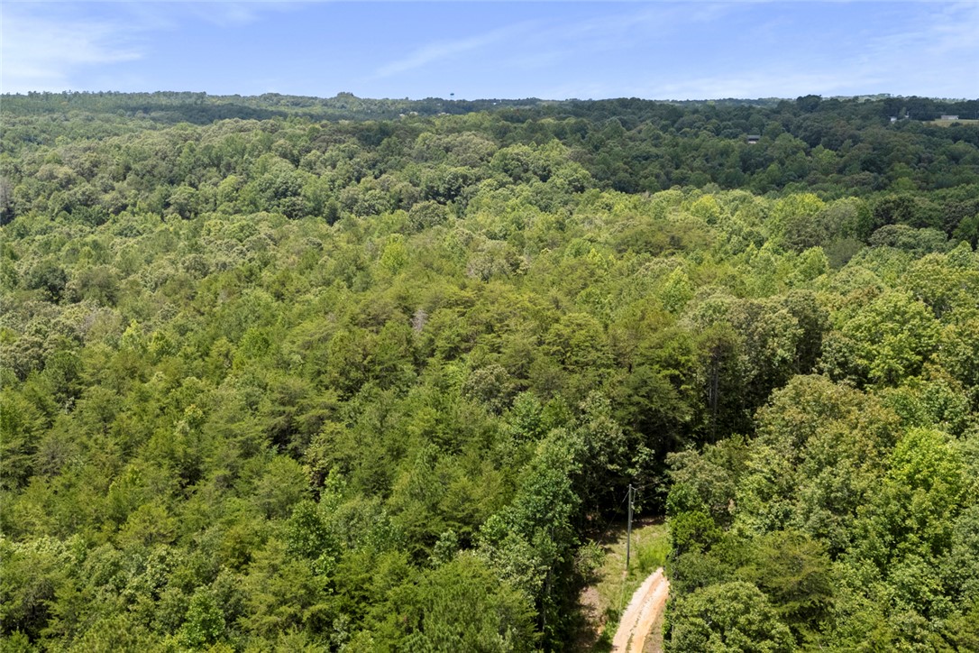 0 Old Hamilton Road Seneca, SC 29678 - Photo 11 of 18