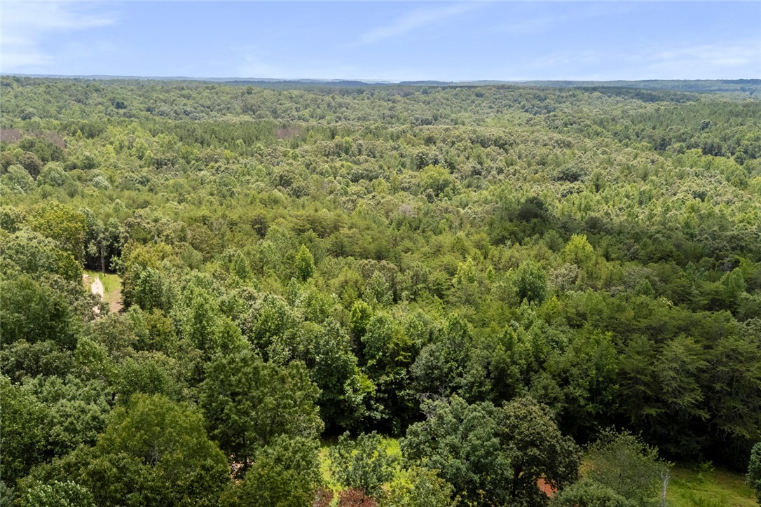 0 Old Hamilton Road Seneca, SC 29678 - Photo 12 of 18