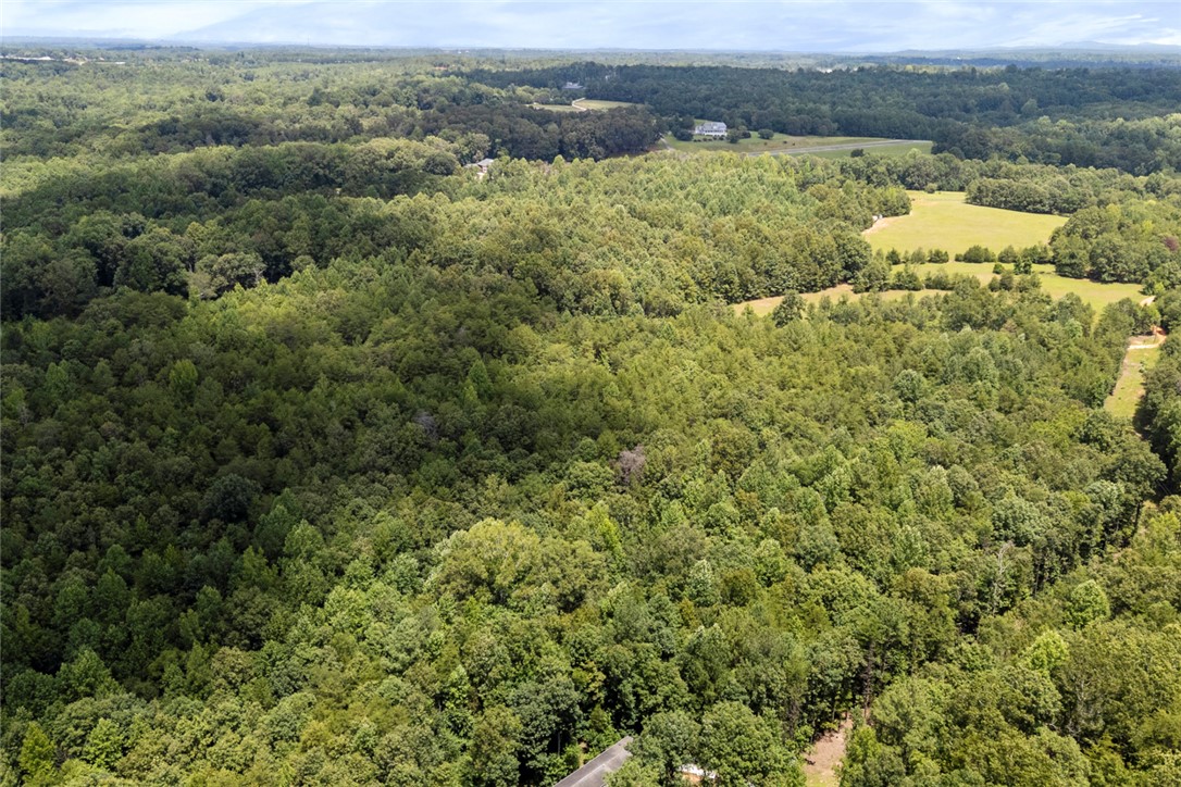 0 Old Hamilton Road Seneca, SC 29678 - Photo 13 of 18