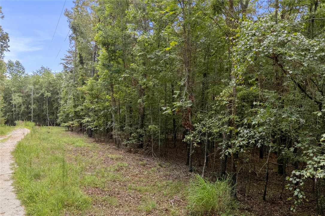 0 Old Hamilton Road Seneca, SC 29678 - Photo 14 of 18