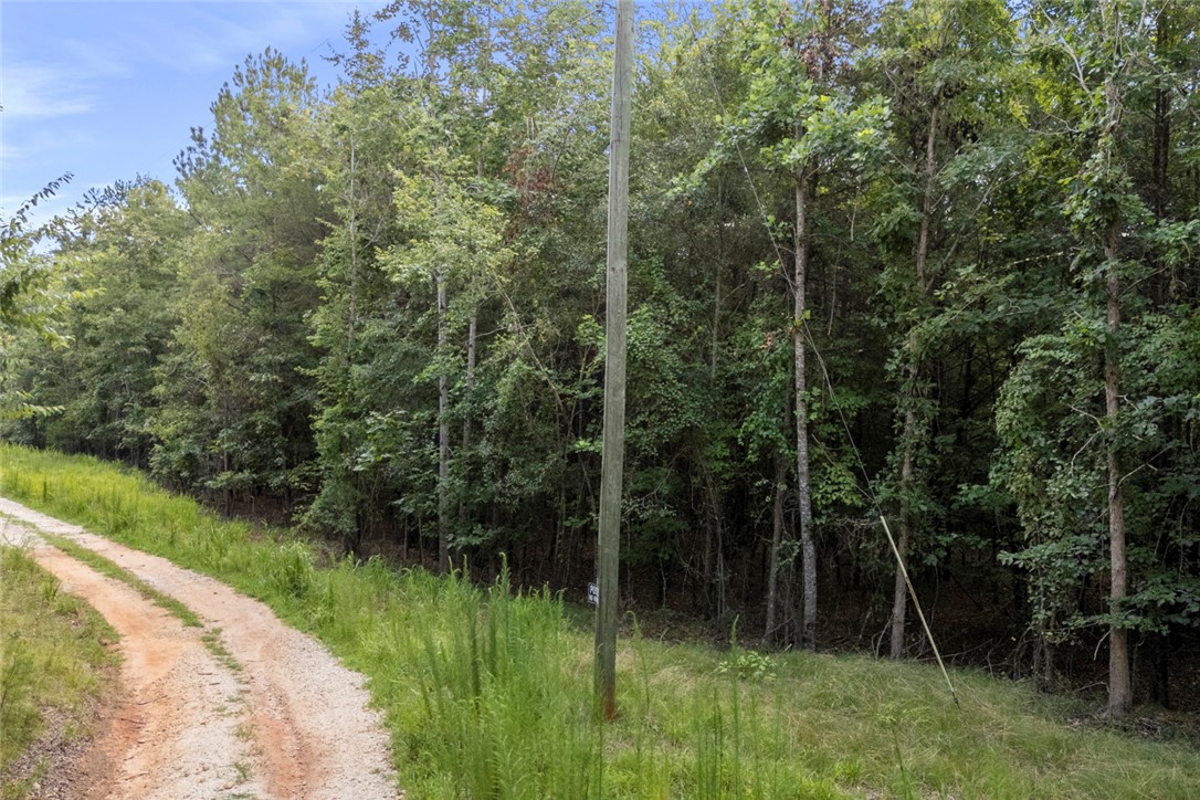 0 Old Hamilton Road Seneca, SC 29678 - Photo 15 of 18
