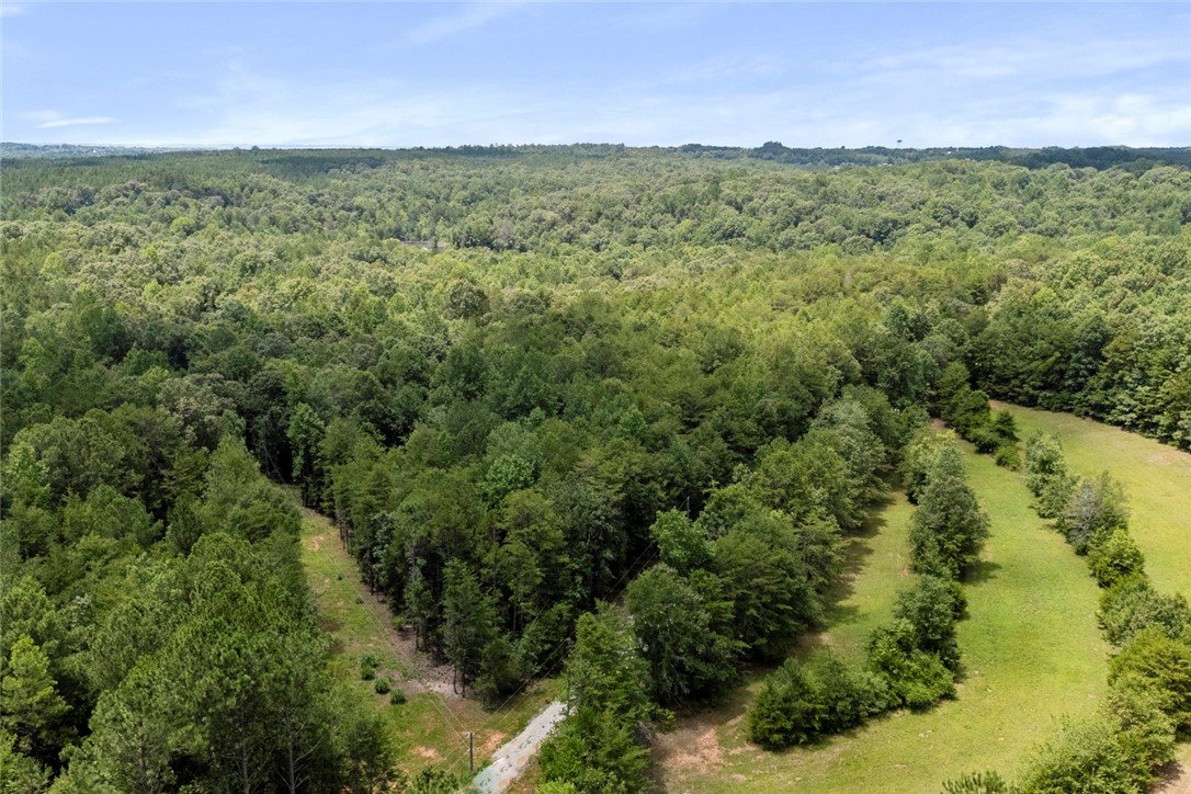 0 Old Hamilton Road Seneca, SC 29678 - Photo 2 of 18