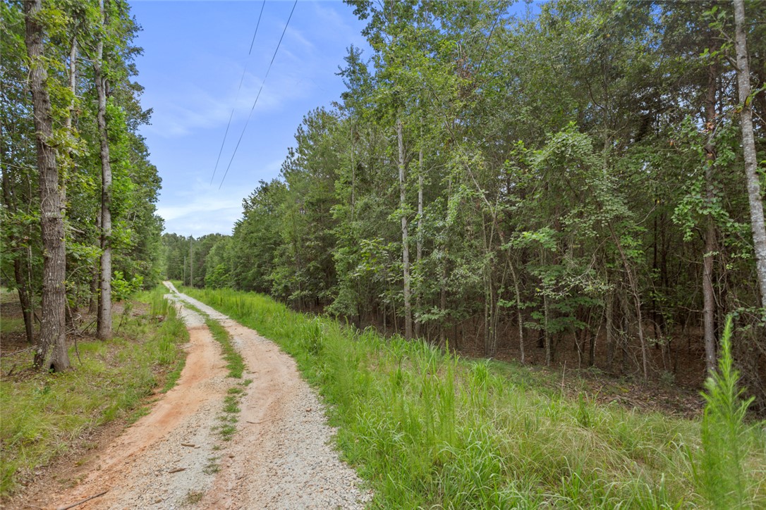 0 Old Hamilton Road Seneca, SC 29678 - Photo 4 of 18