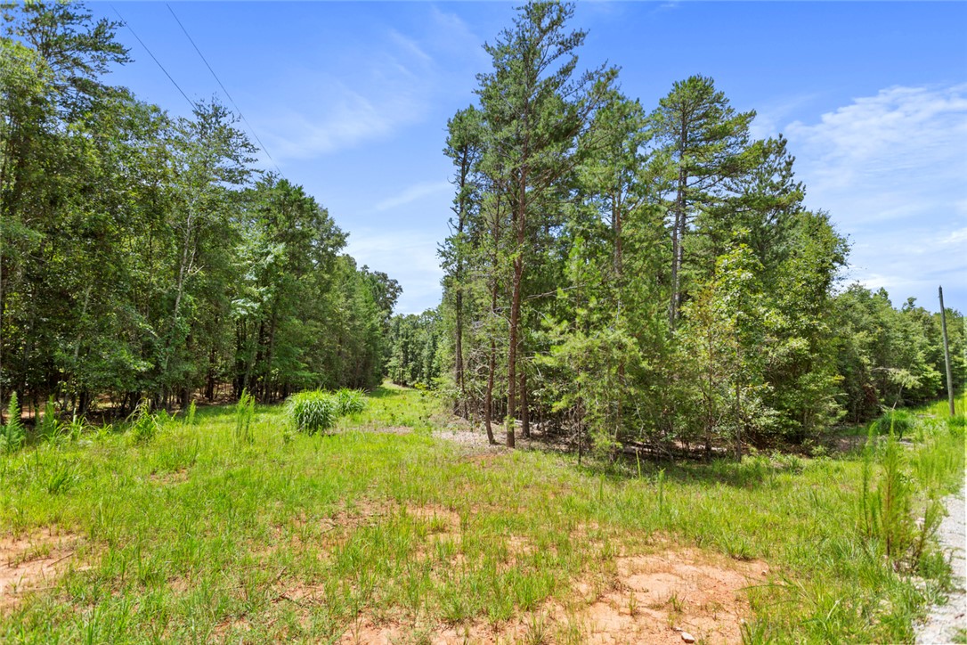 0 Old Hamilton Road Seneca, SC 29678 - Photo 5 of 18