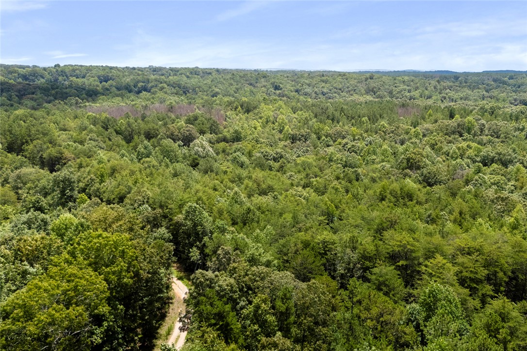 0 Old Hamilton Road Seneca, SC 29678 - Photo 7 of 18