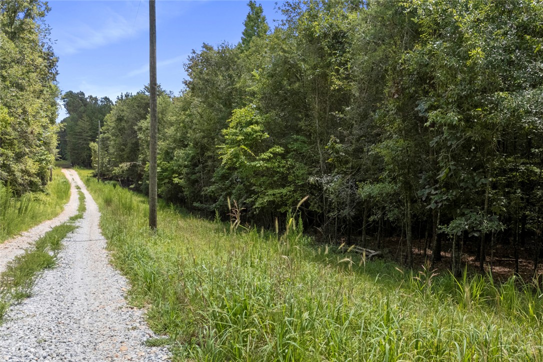 0 Old Hamilton Road Seneca, SC 29678 - Photo 8 of 18
