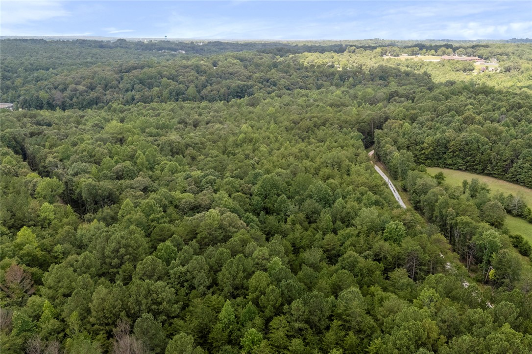0 Old Hamilton Road Seneca, SC 29678 - Photo 9 of 18