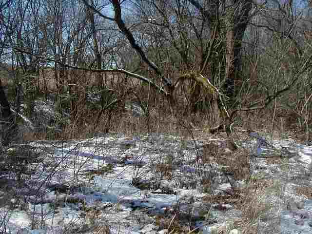 Tbd South Derinda Road Elizabeth, IL 61028 - Photo 2 of 4 a view of a yard with a tree