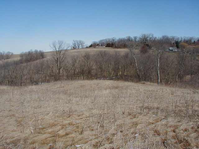 Tbd South Derinda Road Elizabeth, IL 61028 - Photo 4 of 4 a view of a dry yard