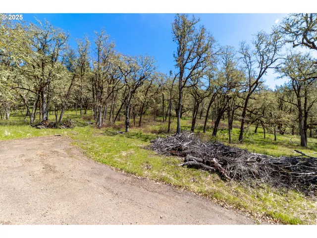 $685,000 | 416 Elmar Drive, Winchester, OR 97495