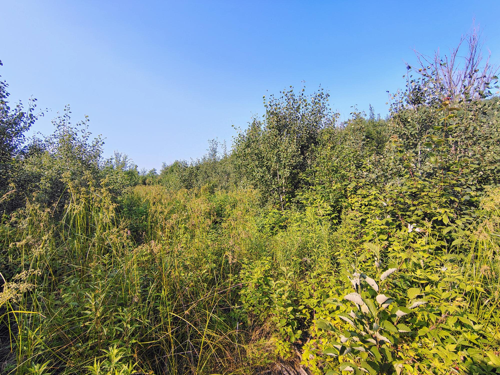 On On Right Of Way Road, Unit 12 / AC Glidden, WI 54527 - Photo 6 of 6 Gallery Image 6