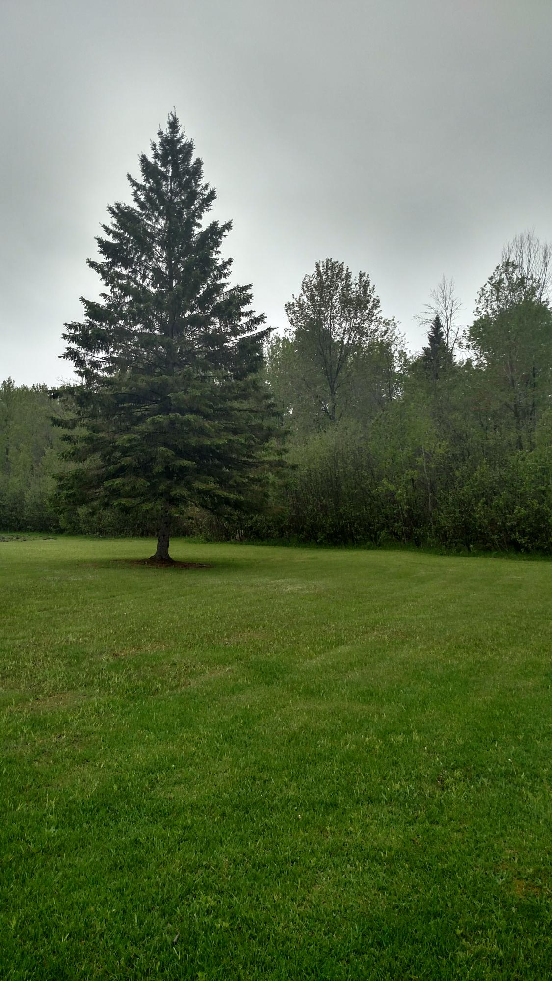 20551 Long Rapids Road Lachine, MI 49753 - Photo 10 of 11 Gallery Image 10