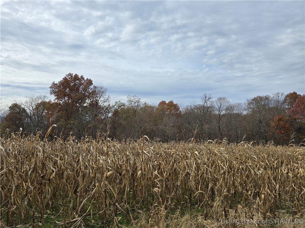 North Side W Cox Ferry Road Campbellsburg, IN 47108 - Photo 27 of 28